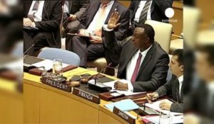 L'ONU va envoyer des Casques bleus au Mali