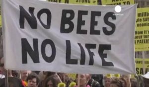 Manifestation à Londres pour sauver les abeilles des...