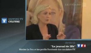 Zapping TV du 31 mai 2013 : Marine Le Pen ne veut plus voir "n'importe quoi sur Facebook"