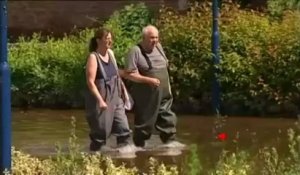 Inondations en Allemagne : la grande évacuation à Magdebourg