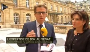 L'expertise économique de DSK au Sénat