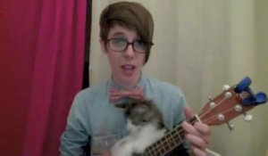 A kitten wants to play guitar! So cute!