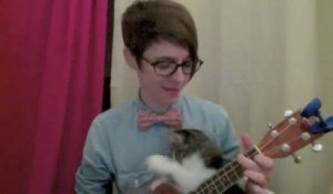 Un bébé chat veut jouer du ukulélé... Trop mignon!
