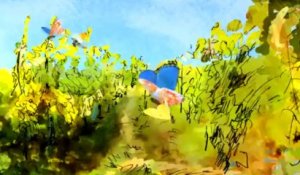 Alsace wines : Naturally Great