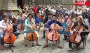 Concert de violoncelle devant la cathédrale - Concert de violoncelle devant la cathédrale