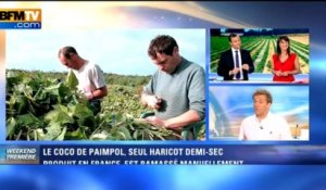 "Cuisinez-moi": Le Coco de Paimpol - 07/09