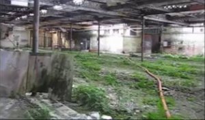 Houplines :  l’ancienne usine Vanderschooten part en fumée