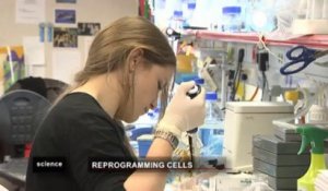 Création de cellules souches in vivo