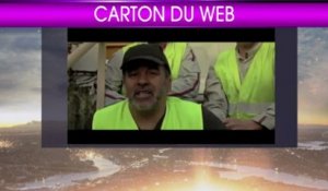 Le carton du web