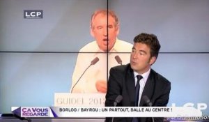 Ça Vous Regarde - Le débat : Bayrou/Borloo : un partout, balle au centre ?