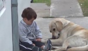 Un chien prend soin d'un enfant atteint de Trisomie!! Emouvant!