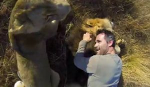 GoPro Lion Hug