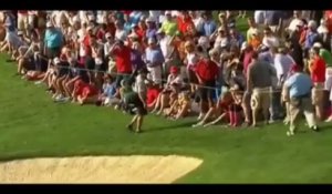 Golf : une balle assomme un spectateur