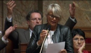 Incident de séance : un député imite la poule quand la députée Véronique Massoneau s'exprime en séance