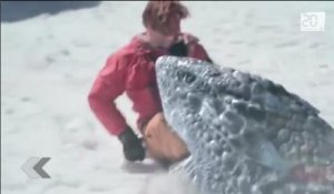Nanar, le pire film de 2013: Avalanche Sharks
