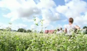 Muzillac. Du blé noir pour la bonne cause