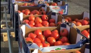 Saint-Brieuc. Des producteurs vendent leurs tomates aux passants