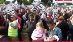 Fouesnant (29). Un bon millier d'agriculteurs agitent le drapeau breton