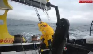 Vendée Globe. En mer avec Bernard Stamm