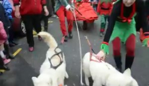 Vannes. Le Père Noël débarque au port devant des milliers d'enfants