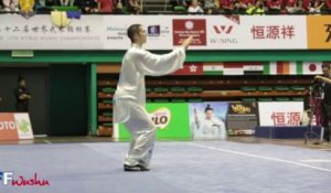Pierre Rouvière : Men's Taijiquan senior / 12th World Wushu Championships