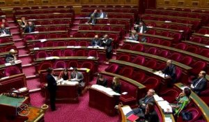 Taxe foncière sur les terrains non bâtis : la réponse de Cécile Duflot au sénateur Jean-Claude Carle