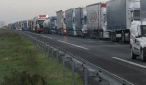 Ecotaxe: défilés de camions dans 16 régions et une même exaspération - 16/11