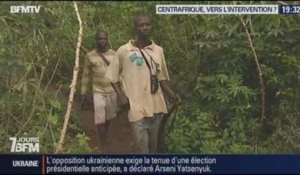 7 jours BFM: Centrafrique, vers l'intervention ? - 30/11