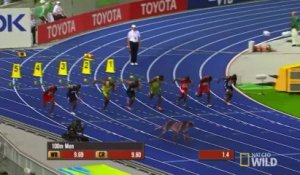 Usain Bolt vs Guépard