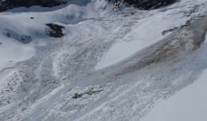 Une avalanche emporte plusieurs chamois dans les alpes !!