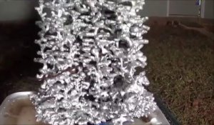Couler de l'aluminium en fusion dans une fourmilière!