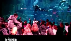 Le Pére Noël s'offre un plongeon dans l'aquarium de Paris