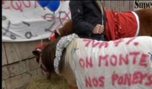 Equitaxe: les cavaliers devant Bercy pour protester contre la hausse de la TVA - 23/12