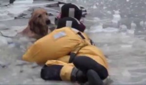 Un chien tombé dans une rivière gelée sauvé par des pompiers.