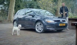 Un chien imite la Golf 7 dans un spot TV