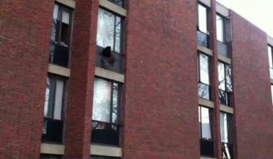 Une dinde explose la fenêtre d'une salle de cours !! Université Brandeis Waltham