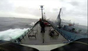 Un baleinier japonais fonce sur un navire de Sea Shepherd