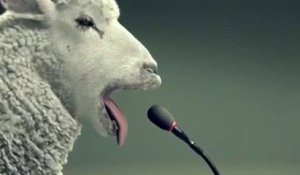 Hilarant : Le mouton et le test des sirènes en Suisse