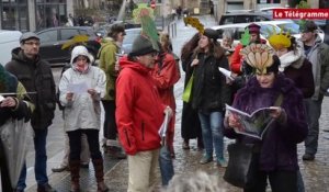 Lannion. Un flashmob contre Notre-Dame-des-Landes