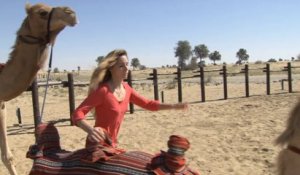Dubaï - Cornet, une balade à dos de chameau
