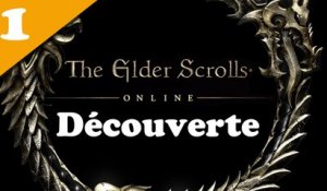 [Decouverte] The Elder Scrolls Online - Bêta  /01