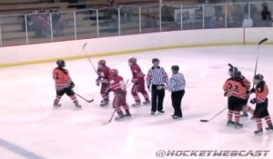 Grosse collision lors d'un match de hockey sur glace