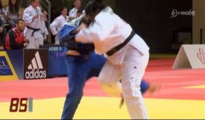 Championnats de France de Judo 2014 (Vendée)