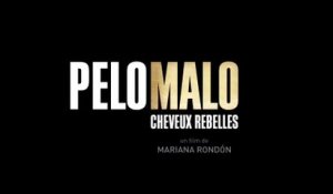 PELO MALO (2013) Bande Annonce VOSTF - HD