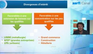 Olivier Passet, Xerfi Canal CICE : divergences patronales et intérêt national