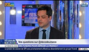 Des fusions pour dépecer la France ?, dans Les Décodeurs de l'éco - 07/04 3/5