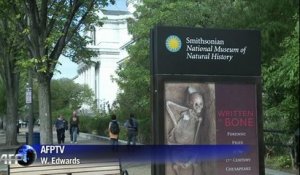 L'après-shutdown: les musées réouvrent leurs portes