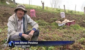 Colombie: la légende des FARC toujours bien vivante