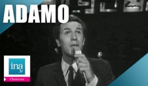 Salvatore Adamo "Mes mains sur tes hanches" (live officiel) | Archive INA