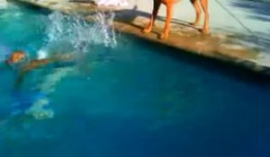 Un chien panique en voyant son maitre sous l'eau de la piscine